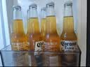 科罗娜（CORONA）海盐番石榴果啤啤酒207ml*24瓶京东自营中秋送礼 实拍图