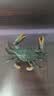 玛奇乐（MECHILE）仿真海洋生物玩具鲨鱼海豚海葵海星海马水母皮皮虾面包蟹动物模型 螃蟹 实拍图