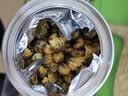 南同神州菊花茶特级胎菊桐乡杭白菊花蕾黄去火清热解毒养肝护肝泡水喝专用 实拍图