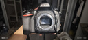 Nikon尼康D610/D700/D750/D810单机高端专业数码全画幅二手单反相机D800套机 9新D750单机身 官方标配 实拍图
