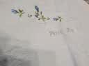 金号 素色绣花 纯棉枕巾 柔软透气单人枕巾 2条装 蓝色 50*80cm 实拍图