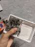 孔艾堂同仁堂艾草肚脐32贴祛湿脾胃虚寒去除湿气重减肥排油燃脂瘦身肚子 实拍图