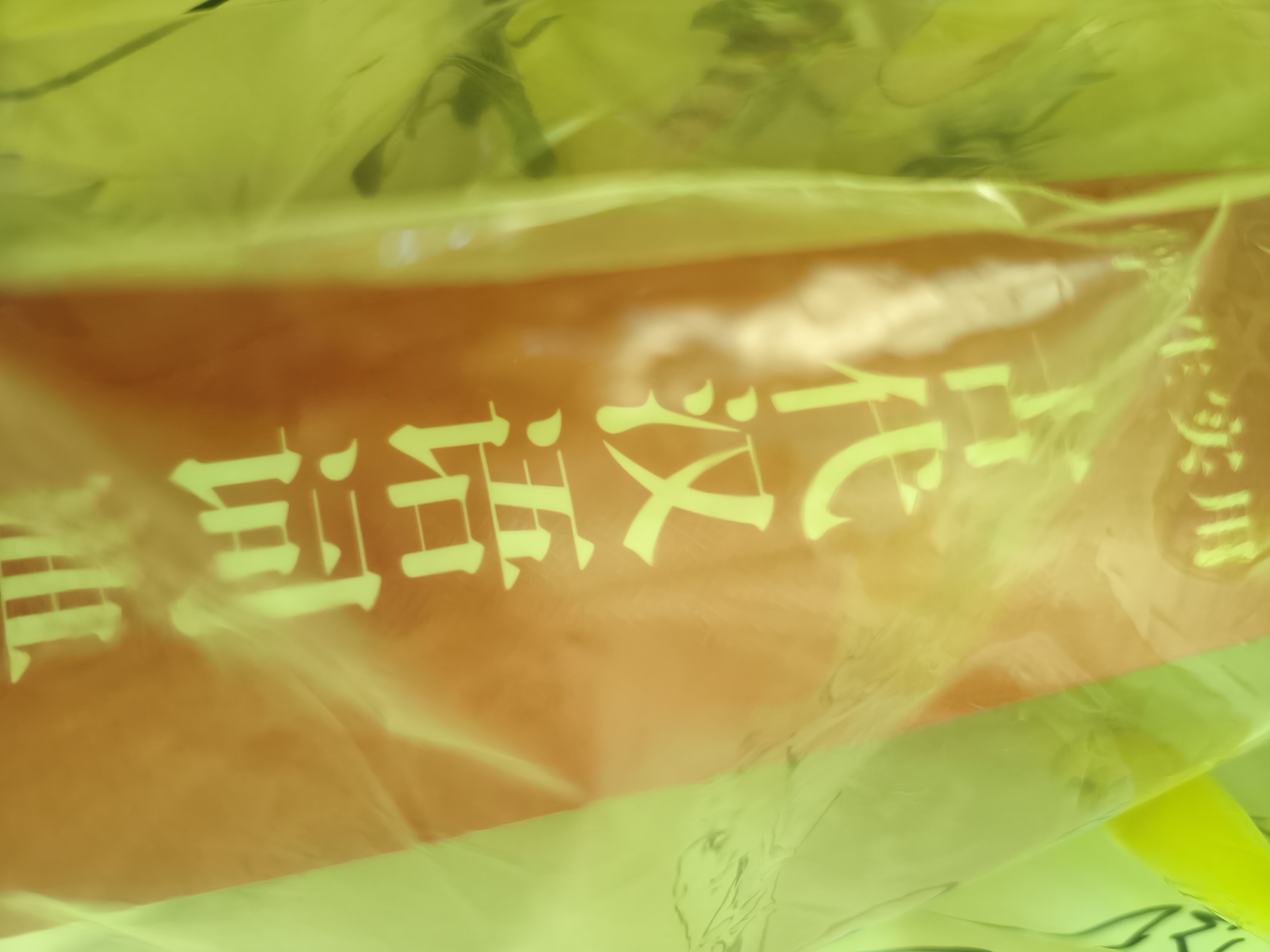 学生实用古代汉语词典 初中高中多功能字典大语文素材课外文言文成语辞典 文学基础知识真题考点工具书 开学季 实拍图