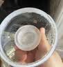 小壮熊（XIAOZHAUNGXIONG） 耐高温创意玻璃水壶过滤单独水壶透明加厚茶壶凉水杯1.3L 玻璃壶盖 实拍图