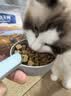 伯纳天纯冻干双拼猫粮生鲜三种鱼深海御鲜三文鱼美毛猫粮11kg囤货装 实拍图