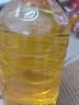 金龙鱼 食用油 非转基因 物理压榨玉米油6.18L（蕴含植物甾醇） 实拍图