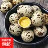 京喜加新鲜鹌鹑蛋宝宝辅食当日现捡现发生鲜超市批发批发早餐礼物单枚8g 100枚 实拍图