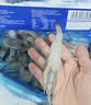 今锦上麻辣小龙虾3斤 4-6钱 净虾1.5斤 中号25-33只 加热即食 26年新虾 实拍图