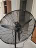 钻石牌工业风扇大风力电风扇牛角扇大功率工业大风扇工厂车间商用立式落地扇吹除甲醛FS-65 实拍图