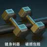 艾美仕（AiMeiShi）哑铃男士健身家用器材女练臂肌一对六角包胶亚玲环保套装组合学生 10KG 一副（左右手各5公斤） 实拍图