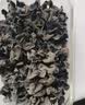 十月稻田 东北黑木耳 150g 肉厚无根 菌菇 黑龙江东宁特产 火锅炒菜煲汤 实拍图