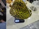 京鲜生 进口金枕头鲜榴莲 净重6-7斤 1个装 新鲜榴莲 水果教师节送礼 实拍图