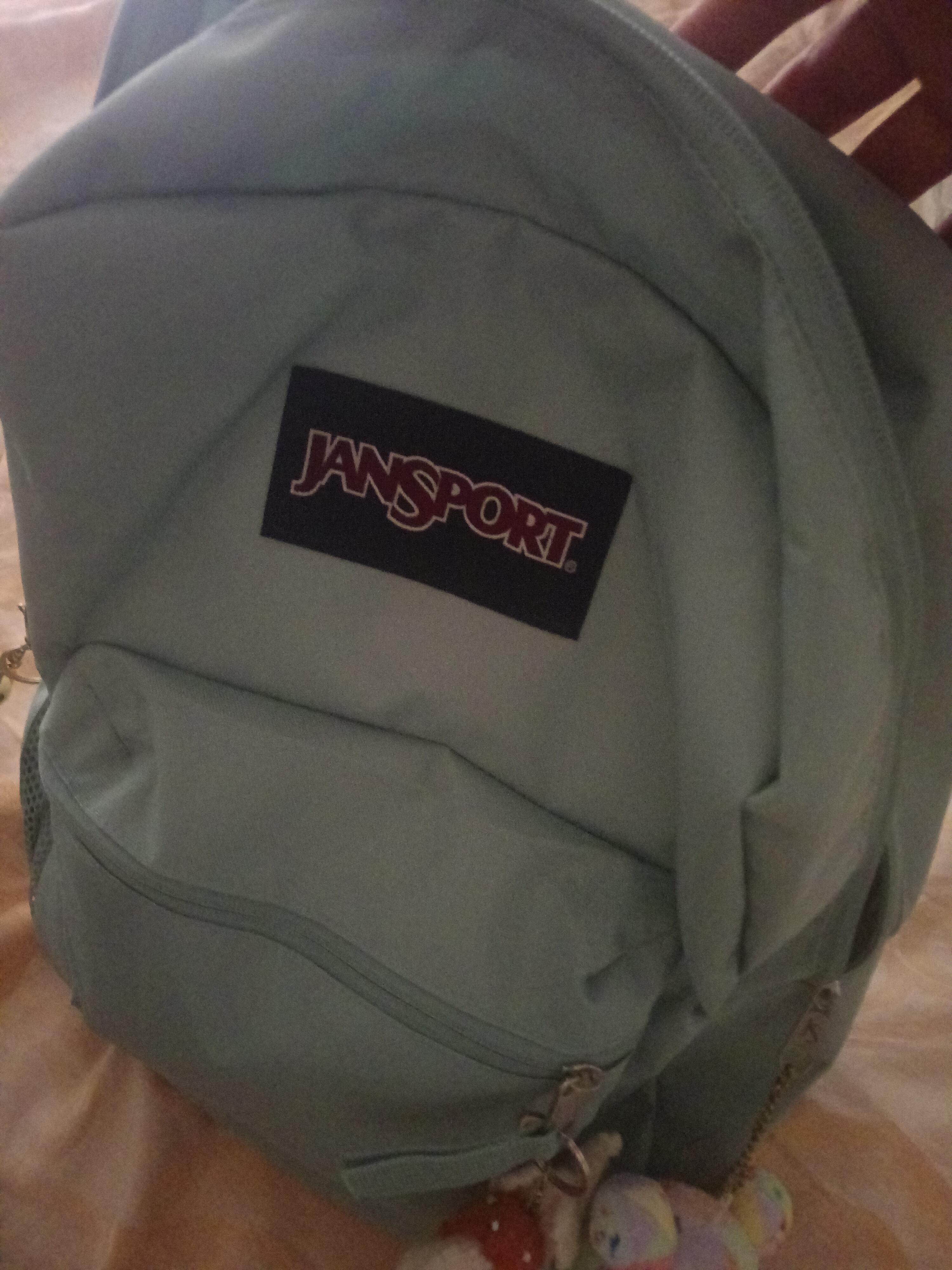 JANSPORT杰斯伯书包轻便双肩包男女旅行包简约背包电脑包学生校园 47LWLA8青云-侧边袋 实拍图