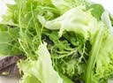 生吃意大利奶油生菜新鲜生菜即食沙拉蔬菜火锅烤肉整箱烧烤涮菜 地头现摘 鲜嫩脆甜【常温发货】 河南意大利生菜整箱5斤（净重4.6斤） 实拍图