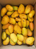 京鲜生攀枝花凯特芒净重8斤 单果400g＋ 新鲜水果 源头直发包邮 实拍图