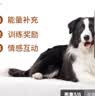 麦富迪狗狗零食 joy牛肉粒540g中小型犬磨牙棒训练奖励解馋宠物零食 实拍图