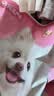 网易严选全价犬粮小型犬酸奶狗粮幼成犬通用促进消化博美柯基比熊10kg 实拍图
