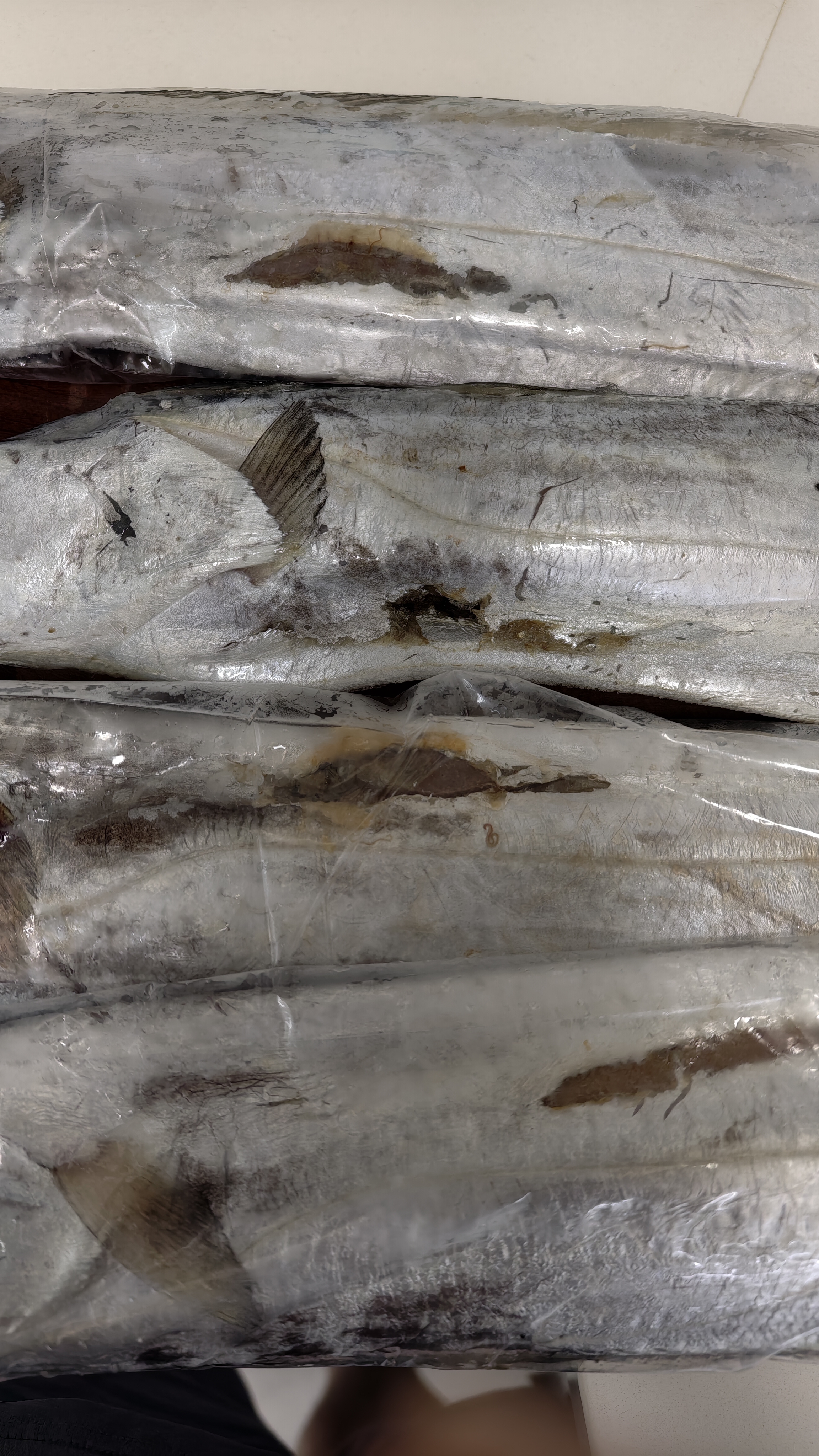 棠鲜生带鱼 精品特级海钓宽带鱼新鲜特大整条带鱼礼盒整箱节日送礼礼盒 6斤装（1.5-2斤/条） 实拍图
