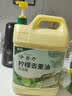 金鱼洗洁精5kg大桶装 柠檬去重油食品用餐厅餐具果蔬去污不伤手洗涤灵 实拍图