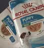 皇家狗粮幼犬成长礼盒（幼犬粮 800g+成犬粮 50g*5）小型犬 泰迪 贵宾 实拍图