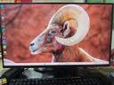 AOC 24.5英寸 144Hz IPS HDMI 低蓝光不闪 可壁挂 三边微边 超薄节能办公电脑显示器 25B35XE 实拍图