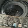 志高（CHIGO）全自动洗衣机 家用小型波轮 洗脱一体机大容量 公寓宿舍出租房 咖啡金 波轮 10kg 【蓝光洗护+风干洁桶+强电机】 实拍图