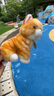 雅德森YOUNGDESIGN 仿真小猫咪公仔毛绒玩具 小花猫贱猫白猫加菲猫摆件 橙色 20cm 实拍图