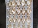 吴大嫂 东北水饺 虾仁三鲜水饺 800g 40只 （虾仁韭菜鸡蛋）蒸饺煎饺 实拍图