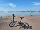 大行（DAHON）P8折叠自行车20英寸8级变速单车KBC083 消光灰经典版--京仓 实拍图
