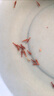 云峰海瑞鱼缸观赏虾 活体虾 鱼缸工具虾除藻 活虾  鱼缸除藻 除藻虾 【漂亮清洁虾】樱花虾25只送两只 实拍图