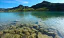 谢裕大2026新茶绿茶黄山毛峰一级100g袋*2雨前实惠口粮茶每天一杯教师节 实拍图