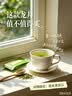 去寻绿茶龙井5g2026新茶明前特级茶叶品鉴小泡袋试饮装 实拍图
