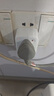 公牛插座转换器插头 无线插排usb  多功能插座/一转多保护门/ 扩展转换器 /适用于卧室厨房 【10A转16A】插头转换器 GN-901T 实拍图