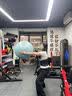 ZEAMO护腰带医用级腰部支撑腰肌劳损腰椎间盘突出夏季薄款透气男女士用 实拍图