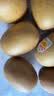 佳沛（zespri）新西兰阳光金果10个装单果重约103-114g 水果礼盒 猕猴桃 实拍图