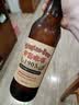 青岛啤酒（TsingTao）经典（1903）640ml*12瓶 复古 整箱装 中秋节送礼 实拍图
