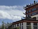 【原研进口】2盒装[信必可都保] 布地奈德福莫特罗粉吸入粉雾剂(II)160μg:4.5μg*60吸/盒 实拍图