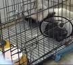 腆宠狗笼狗窝猫笼狗笼子中小型犬带厕所猫笼子大号家用室内狗围栏兔笼 实拍图