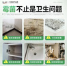 DR.ML墙体除霉喷雾剂去霉斑霉菌墙体墙面卫生间厨房白墙发霉修复500ml 实拍图