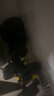 华亚（HUAYA） 哑铃男士杠铃套装可调节环保包胶手铃亚玲家用运动锻炼健身器材 一副两只总重20kg两用款【热销大众选择】 实拍图