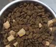 麦富迪狗粮 超肉粒冻干狗粮成幼犬小型犬专用比熊调理肠胃 1.5kg 实拍图