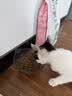 诚实一口K01全价幼猫粮孕猫乳铁蛋白新西兰绵羊奶配方1.5kg 实拍图