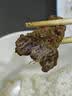 周黑鸭【选5盒】锁鲜星享盒装麻辣新鲜卤味办公室休闲零食 经典甜辣：卤鸭翅125g 实拍图