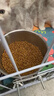 皇家猫粮 幼猫猫粮 幼猫奶糕 K36 通用粮 4-12月 2KG 实拍图