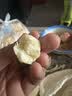 京鲜生 进口金枕头鲜榴莲 净重5-6斤 1个装 新鲜榴莲 水果教师节送礼 实拍图
