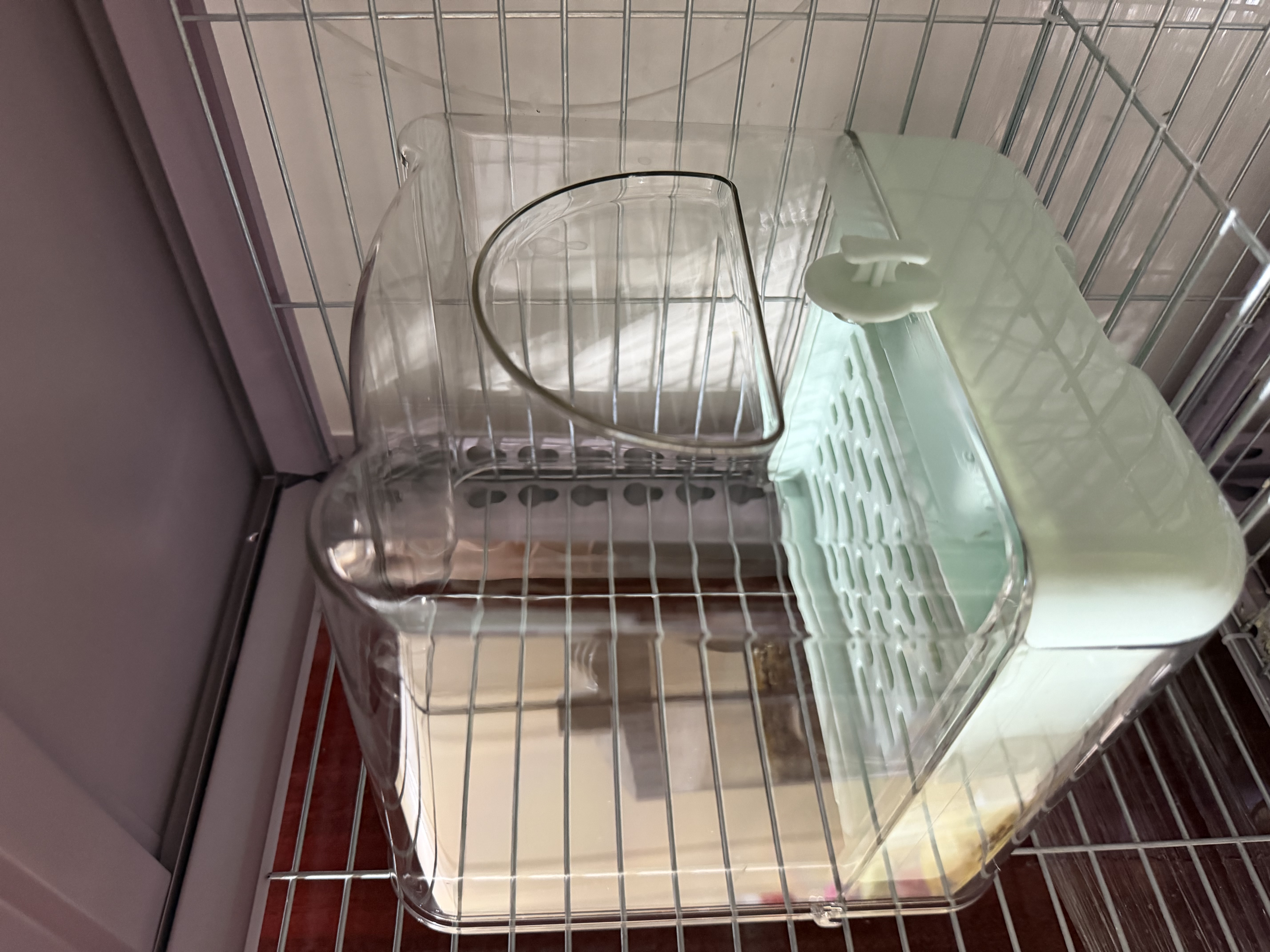 比克熊鹦鹉浴室洗澡盆外置食盒多仓小鸟专用浴盆防溅喂食器鸟窝特大号 实拍图