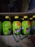 维他奶维他手指柠檬茶饮料500ml*15瓶 甄选大红袍  家庭聚会 实拍图