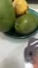 佳钓尼（JIADIAONI）开饵盆饵料盆三件套折叠鱼食拉饵盘鱼饵盆小号钓鱼鲢鳙散炮盆渔具 开饵浅盆墨绿 （24#） 实拍图