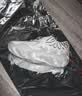 彪马（PUMA）拉梅洛·鲍尔联合设计实战篮球鞋MB.01男子运动鞋 376941 白-银色-04 42.5 实拍图