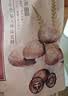 十月稻田 金钱菇 200g 干香菇 小香菇 山珍菌菇干货 煲汤火锅炒菜食材 实拍图